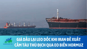 dau (26)