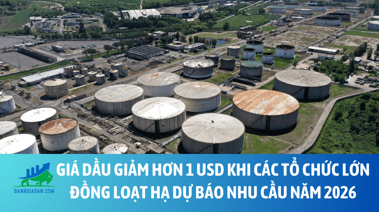 Giá dầu giảm hơn 1 USD khi các tổ chức lớn đồng loạt hạ dự báo nhu cầu năm 2026 – ngày 13/08/2026