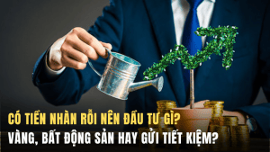 Có tiền nhàn rỗi nên đầu tư gì?