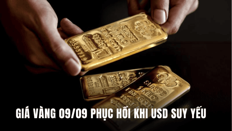 Giá vàng 09/09 phục hồi khi USD suy yếu