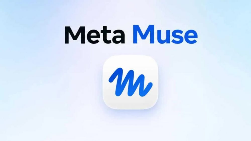 meta 232
