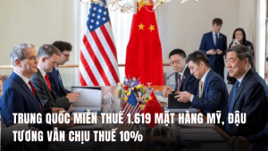 trung-quoc-mien-thue-1619-mat-hang-my-2809