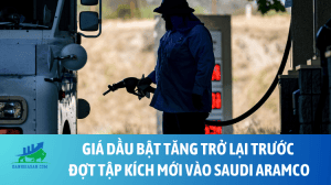 gia dau bat tang tro lai