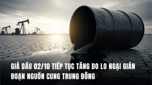 gia-dau-tang-do-lo-ngai-gian-doan-nguon-cung-0210