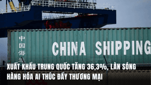 xuat-khau-trung-quoc-tang